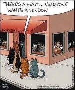 window.jpg