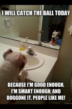 funny-jokes-memes-shrink-therapist-therapy-9.jpg