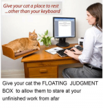 give-your-cat-a-place-to-rest-other-than-your-25456825.png