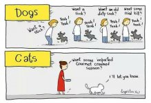 The-Difference-Between-Dogs-And-Cats.jpg