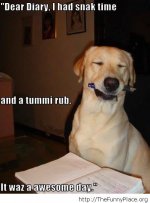 Dear-diary-letter-meme.jpg