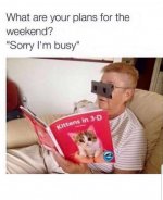 5bd1f081d61fa.jpg