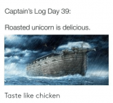 captains-log-day-39-roasted-unicorn-is-delicious-taste-like-48482347.png
