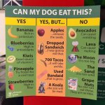 can-my-dog-eat.JPG