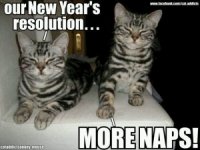 Happy-New-Year-2018-Cat-Memes-300x225.jpg