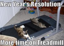 New-Year-Cat-Reolution-Meme-1.jpg