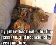 my-pillow-has-heat-dog-and-cat-memes-meme-pillows-l-34ee8180fe488986.jpg