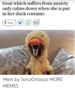 goat-which-suffers-from-anxiety-only-calms-down-when-she-43125529.png