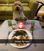 we_have_dinner_for_two.jpg