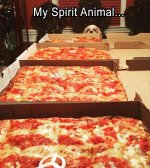 animals-21-3.jpg