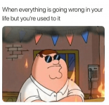 29313978_2023653604525100_3179746735144566784_n.png