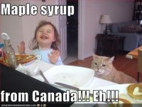 maple-syrup-from-canada-eh.jpg