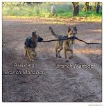 branch manager and assistant.jpg