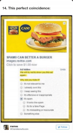 14-this-perfect-coincidence-spam-can-spam8-can-better-a-19336557.png