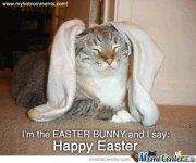 easter-cat_o_1236604.jpg