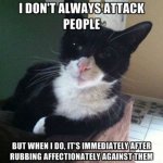 cat-meme-95.jpg