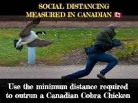 l-57343-social-distancing-measured-in-canadian-o-use-the-minimum-distance-required-to-outrun-a-c.jpg