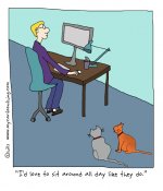 cats_man_computer_sitting_cartoon_1.jpg