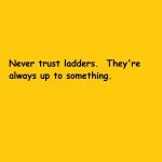 Never-trust-ladders.jpg