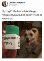 christine-nangle-nanglish-my-dog-philby-has-to-take-allergy-36491025.png