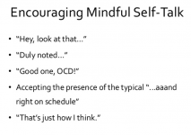 Screenshot_2020-06-07 Jon Hershfield - Applying Mindfulness to Traditional CBT Tools How tâ€¦.png