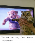 teazer-traller-3-2019-1-the-real-lion-king-cats-52847984.png