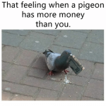 that-feeling-when-a-pigeon-has-more-money-than-you-16500874.png