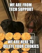 1d4fa2e5670c65c7736710d584e11a90.jpg