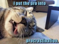 Screenshot_2020-06-18 passed-out-cat-with-tongue-out-captioned-as-he-put-the-pro-in-procrastinat.png