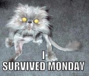 survived Monday.jpg