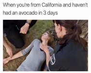 l-5400-when-youre-from-california-and-havent-had-an-avocado-in-3-days.jpg