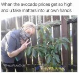 l-8880-when-the-avocado-prices-get-so-high-and-you-take-matters-into-your-own-hands.jpg