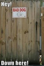 dog_sign12.jpg