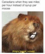 canadians-when-they-see-miles-per-hour-instead-of-syrup-per-moose-beaver-meme.jpg