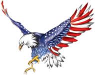 122-1225521_american-flag-eagle-cool-american-flag-designs.png
