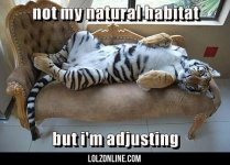 Not-My-Natural-Habitat...-Best-Quotes-Funny.jpg