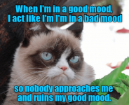 Screenshot_2020-08-22 grumpy-cat-logic (PNG Image, 500 Ã— 410 pixels).png