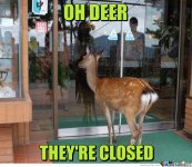 oh-deer-they-amp-039-re-closed_o_1663783.jpg