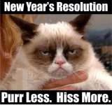 Happy-New-year-Cat-meme.jpg