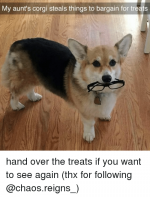 my-aunts-corgi-steals-things-to-bargain-for-treats-hand-26398462.png