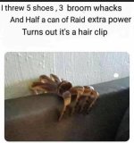 spider hairclip.jpg