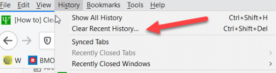 firefox-history-clear recent history.png