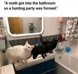 moth hunting party.jpg