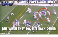 the-florida-gators-dont-always-block-uf-2nd-6-but-18148677.png