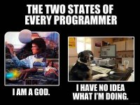 photo-caption-the-two-states-of-every-programmer-i-have-no-idea-what-im-doing-iam-a-god.jpg