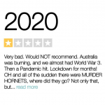 Screenshot_2020-11-09 2020 Would Not Recommend 2020 One Star Review 2020 Sucks Etsy(1).png