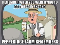 remember-when-you-were-dying-to-go-to-radio-shack-pepperidge-farm-remembers.jpg