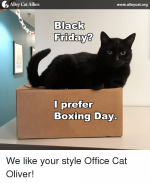 alley-cat-allies-www-alleycat-org-nack-fridays-i-prefer-boxing-day-7482182.png