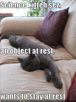 science-kitteh-sez-an-object-at-rest-wants-to-stay-at-rest.jpg