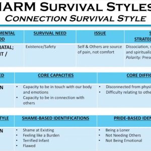 NARM: The Connection Survival Style